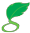 Green Choice International